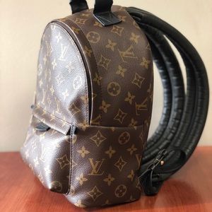 Louis Vuitton Palm Springs Backpack PM